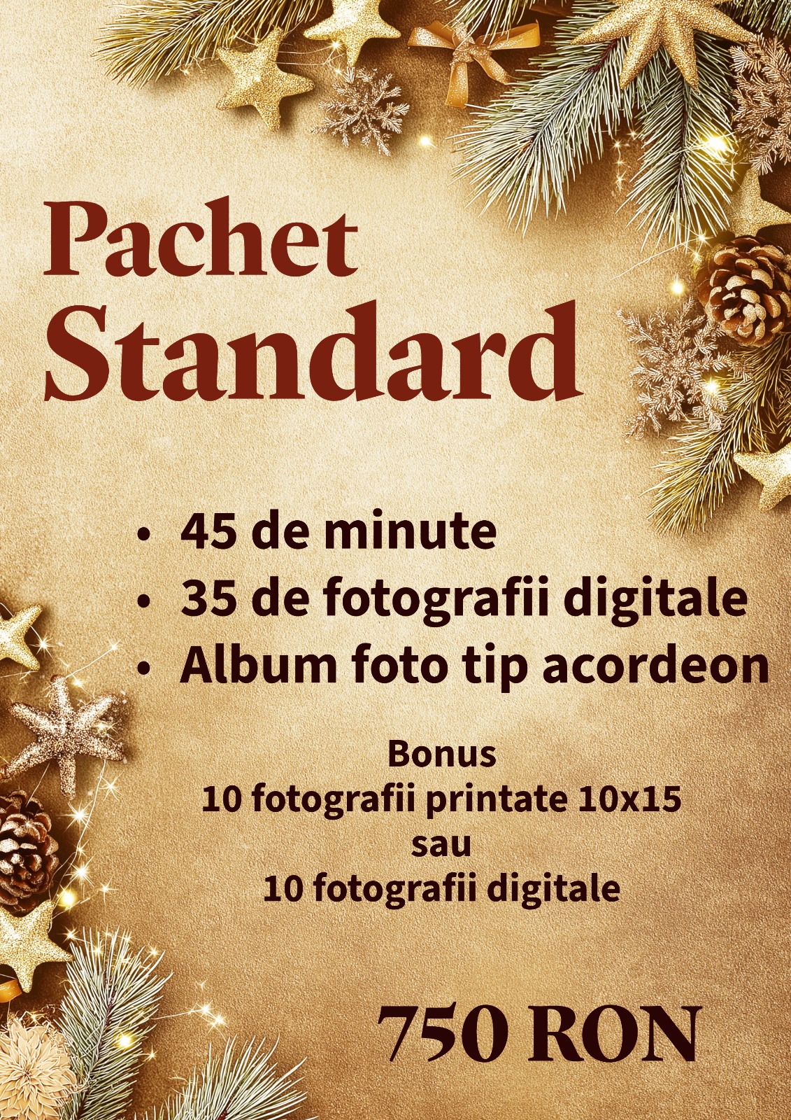 pachet-standard-sedinte-foto-craciun-2025-brasov