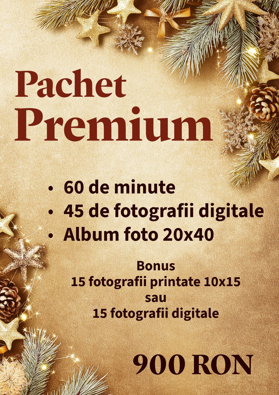 pachet-premium-sedinte-foto-craciun-2025