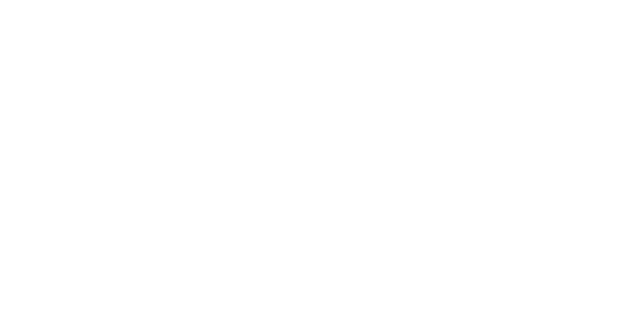 logo-sedinte-foto-craciun-brasov